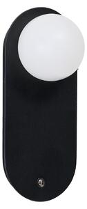 Amoro LED falikar