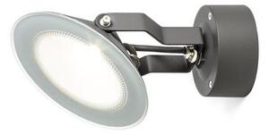 FOX kültéri lámpa antracitszürke 230V LED 9W 120° IP65 3000K