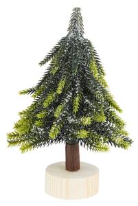 TREE OF THE MONTH fenyőfa talpon 19 cm