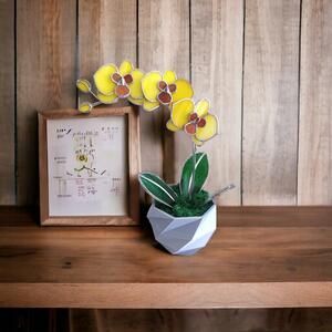 Orchidea üveg örökvirág