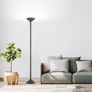 Fabas Luce LED álló világítás Tratto, antracit, fém, CCT, dimmelhető, dimmelhető, Fekete, Nappali / Étkező, fém, Modern