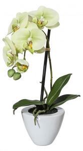 ORCHIDEA élethű növény dekoráció 36 cm magas