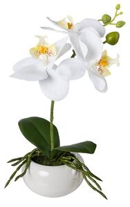 ORCHIDEA élethű növény dekoráció 27 cm magas