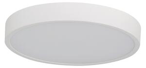 Pandino LED általános mennyezeti lámpa