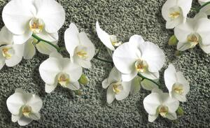 Poszter tapéta Orchid on the structure vlies 104 x 70,5 cm vlies 104 x 70,5 cm