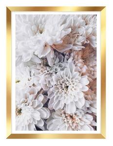 Keretezett poszter, dáliák, 30x40 cm, púderrózsaszín - FLORISSIMO