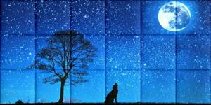 Éjszakai ég KERMA-83 hold éjszaka csillagok nyomtatott műbőr falikép