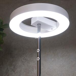 Szabályozható fényerejű asztali LED lámpa, érintőkapcsolós (Alvendre)