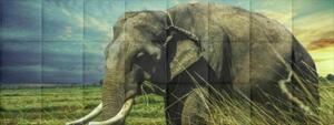 Elefánt-3 állatos színes nyomtatott műbőr falvédő, ágy mellé (200x75 cm)