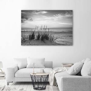 Gario Vászonkép Fu a tengerparton - fekete-fehér Méret: 60 x 40 cm