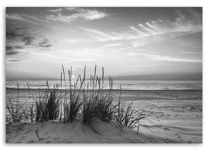 Gario Vászonkép Fu a tengerparton - fekete-fehér Méret: 60 x 40 cm
