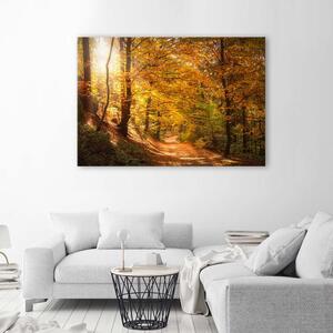 Gario Vászonkép Levelek egy erdei ösvényen Méret: 60 x 40 cm