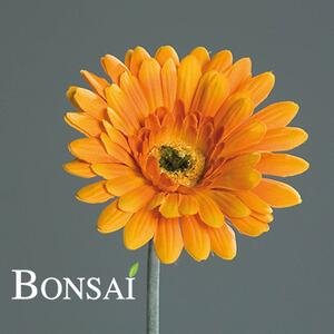 Narancssárga Gerbera 56 cm – Energikus virágdísz - Narancs