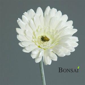 Fehér Gerbera 56 cm – Dekoratív virág