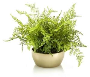 Mű páfrány 40 cm – Elegáns díszedényben