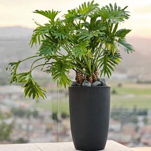 Meti antracit virágcserép 74 x 50 cm - Antracit - 71 - 90 cm - Teraplast