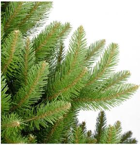 Karácsonyfa - Vad Lucfenyő 180cm