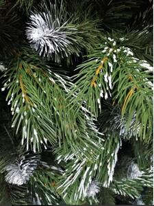 Karácsonyfa - Erdeifenyő 220cm Freezy