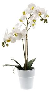 Fehér mű orchidea 65 cm fehér vázában – Elegáns dekoráció - Fehér - 51 - 70 cm
