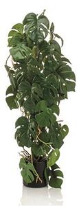 Mű Monstera 75 cm cserépben – Élethű beltéri dekoráció - 71 - 90 cm