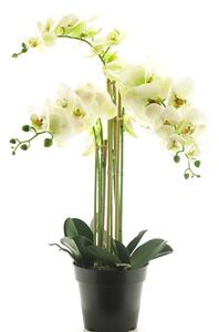 Fehér mű orchidea 60 cm cserépben – Elegáns dekoráció - Fehér - 51 - 70 cm