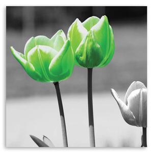 Gario Vászonkép Zöld tulipánok szürkében Méret: 30 x 30 cm