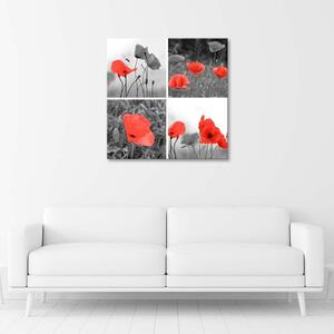 Gario Vászonkép Piros pipacsok készlet Méret: 30 x 30 cm