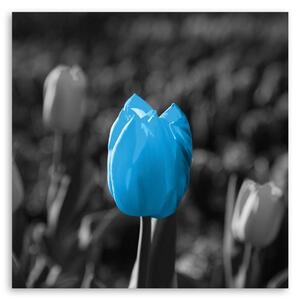 Gario Vászonkép Kék tulipánok szürkében Méret: 30 x 30 cm