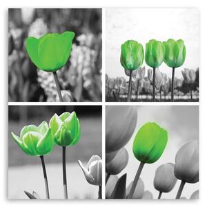 Gario Vászonkép Zöld tulipánok készlete Méret: 30 x 30 cm