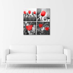 Gario Vászonkép Piros tulipánok szürke színben Méret: 30 x 30 cm