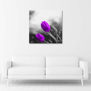 Gario Vászonkép Két lila tulipán Méret: 30 x 30 cm