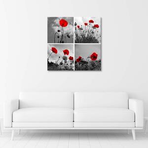 Gario Vászonkép Vörös pipacsok Méret: 30 x 30 cm