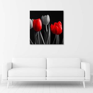 Gario Vászonkép Piros tulipánok Méret: 30 x 30 cm