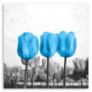 Gario Vászonkép Kék tulipánok Méret: 30 x 30 cm