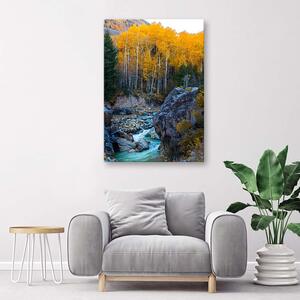 Gario Vászonkép Patak az erdőben Méret: 40 x 60 cm
