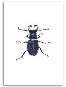 Gario Vászonkép Fekete bogár Méret: 40 x 60 cm