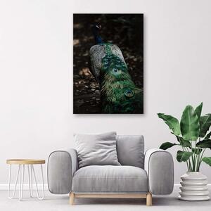Gario Vászonkép Páva farok Méret: 40 x 60 cm