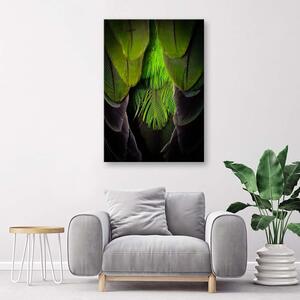 Gario Vászonkép Zöld tollak Méret: 40 x 60 cm