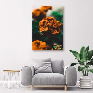 Gario Vászonkép Narancssárga virágok Méret: 40 x 60 cm