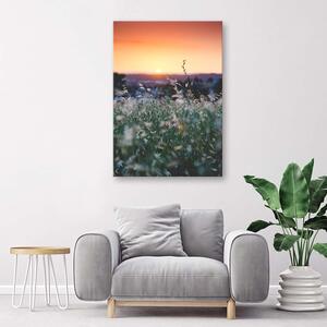 Gario Vászonkép Rét és naplemente Méret: 40 x 60 cm