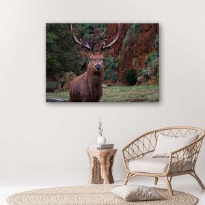 Gario Vászonkép Az erdő királya Méret: 60 x 40 cm