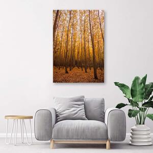 Gario Vászonkép Nyírfák és levelek Méret: 40 x 60 cm