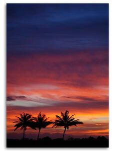 Gario Vászonkép Színes égbolt és pálmafák Méret: 40 x 60 cm