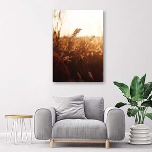 Gario Vászonkép Rét a napon Méret: 40 x 60 cm