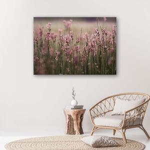 Gario Vászonkép Rózsaszín mezei virágok Méret: 60 x 40 cm