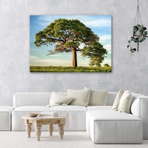 Gario Vászonkép Nagy fa Méret: 60 x 40 cm