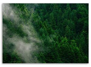 Gario Vászonkép Köd az erdő felett Méret: 60 x 40 cm