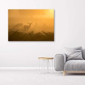 Gario Vászonkép Szarvascsorda hajnalban Méret: 60 x 40 cm