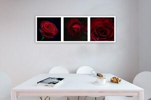 Gario Vászonkép Vörös rózsák - készlet Méret: 90 x 30 cm