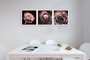 Gario Vászonkép Panoráma rózsák készlet Méret: 90 x 30 cm
